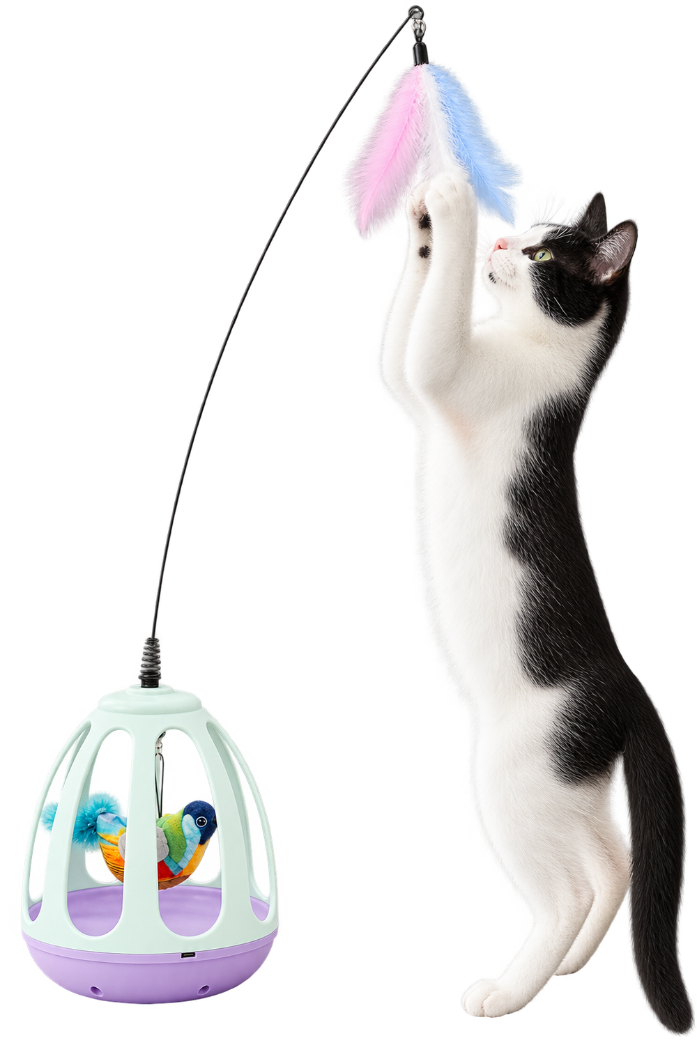 Un gato blanco y negro estirándose de pie para alcanzar la pluma colgante